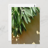 Elegante groene botanische bladeren Fresh-cut krui Briefkaart (Voorkant / Achterkant)