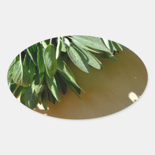 Elegante groene botanische bladeren Fresh-cut krui Ovale Sticker