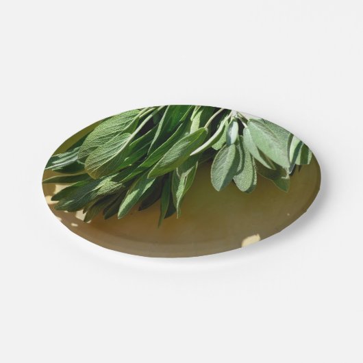 Elegante groene botanische bladeren Fresh-cut krui Papieren Bordje (Gekanteld)