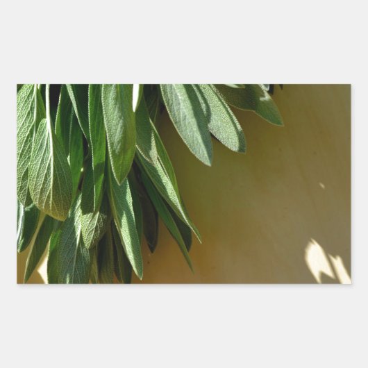 Elegante groene botanische bladeren Fresh-cut krui Rechthoekige Sticker (Voorkant)