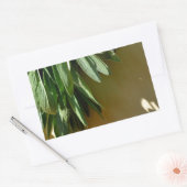 Elegante groene botanische bladeren Fresh-cut krui Rechthoekige Sticker (Envelop)