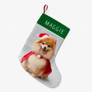Elegante Groene Foto van Huisdierhond met Eigen Na Kleine Kerstsok