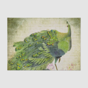 Elegante groene pauw tissuepapier