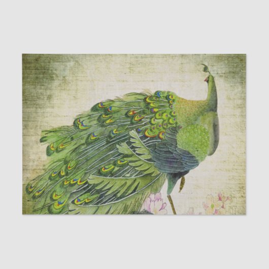 Elegante  groene pauw tissuepapier (Voorkant)