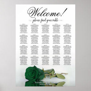 Elegante groene smaragden tafelstoelenkaart voor 2 poster