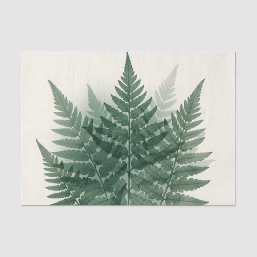 Elegante groene varenbladeren botanisch  tissuepapier (Voorkant)