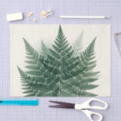 Elegante groene varenbladeren botanisch  tissuepapier (Craft)