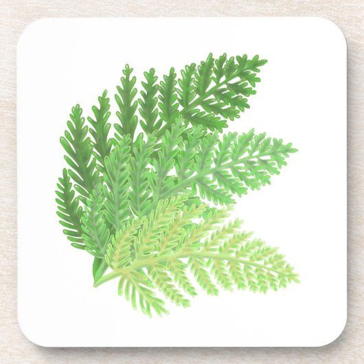 Elegante groene waterverf varens bos bladeren bier onderzetter (Voorkant)
