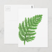Elegante groene waterverf varens bos bladeren briefkaart (Voorkant / Achterkant)
