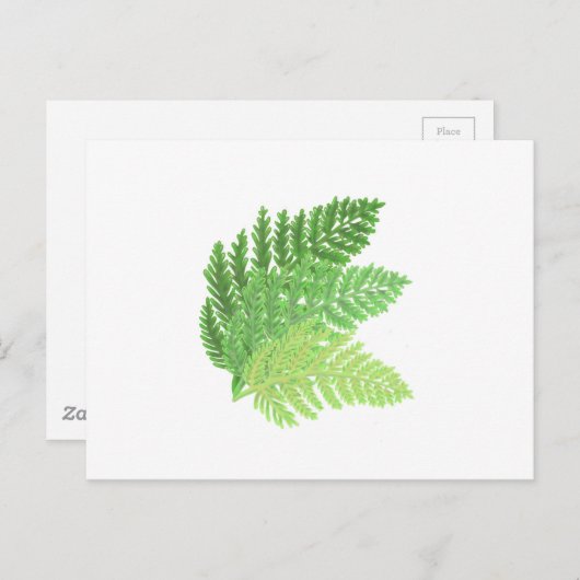 Elegante groene waterverf varens bos bladeren briefkaart (Voorkant / Achterkant)