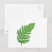Elegante groene waterverf varens bos bladeren briefkaart (Voorkant / Achterkant)