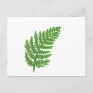 Elegante groene waterverf varens bos bladeren briefkaart
