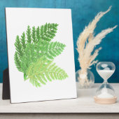 Elegante groene waterverf varens bos bladeren fotoplaat (Zijkant)