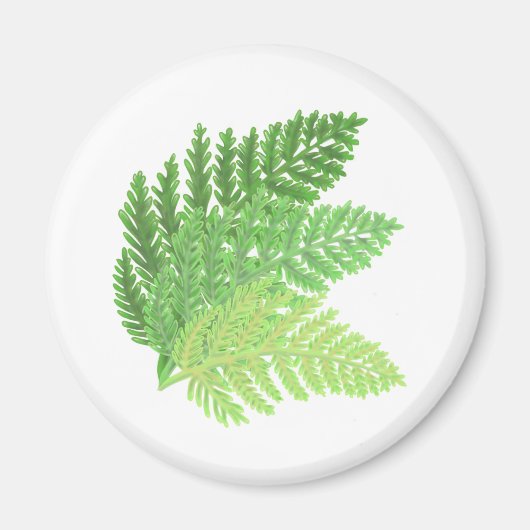 Elegante groene waterverf varens bos bladeren magneet (Voorkant)