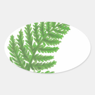 Elegante groene waterverf varens bos bladeren ovale sticker
