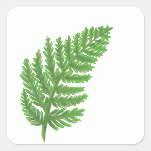 Elegante groene waterverf varens bos bladeren vierkante sticker (Voorkant)