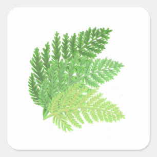 Elegante groene waterverf varens bos bladeren vierkante sticker