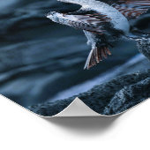 Elegante grote aalscholver vogel poster (Hoek)