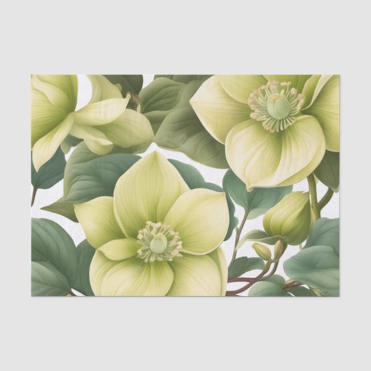 Elegante Hellebore Bloemen Tissuepapier (Voorkant)