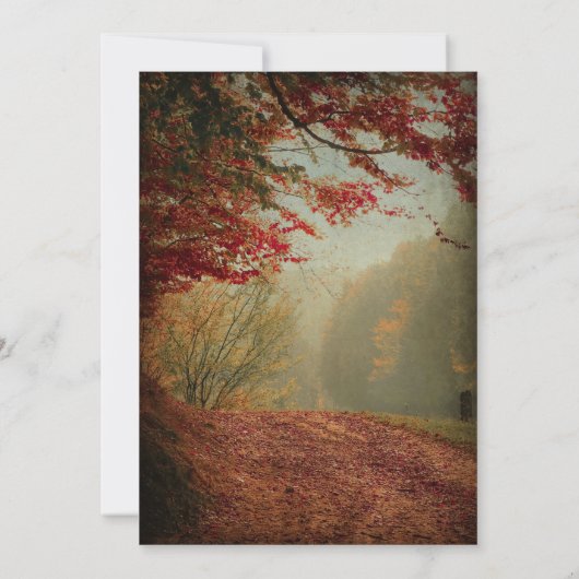 Elegante Herfst Trees Rustic String Lights Wedding Kaart (Achterkant)