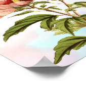 Elegante Hibiscus Bloem Botanische Print (Hoek)