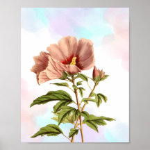 Elegante Hibiscus Bloem Botanische Print