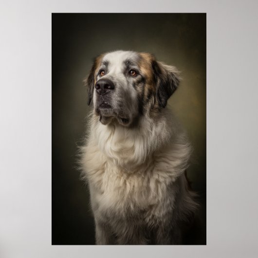 Elegante honden silhouet poster (Voorkant)