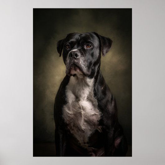 Elegante honden silhouet poster (Voorkant)