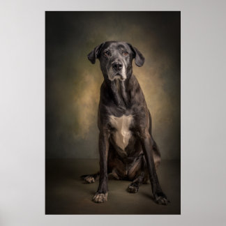Elegante honden silhouet poster