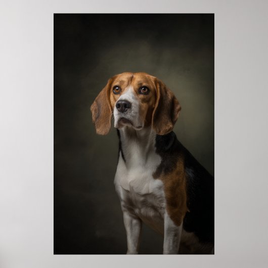 Elegante honden silhouet poster (Voorkant)