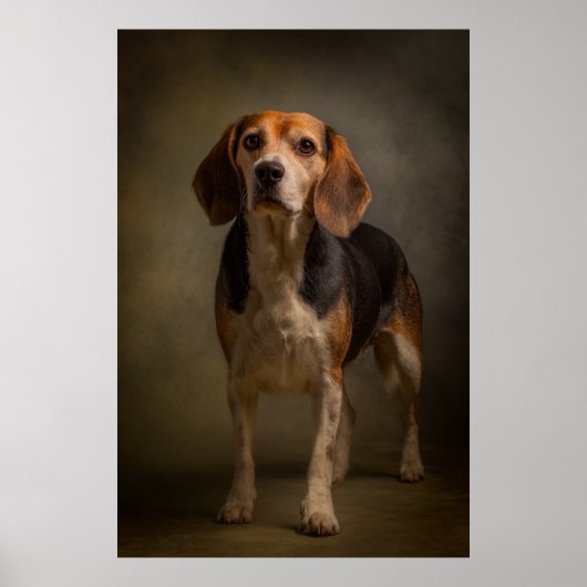 Elegante honden silhouet poster (Voorkant)
