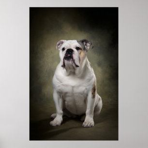 Elegante honden silhouet poster