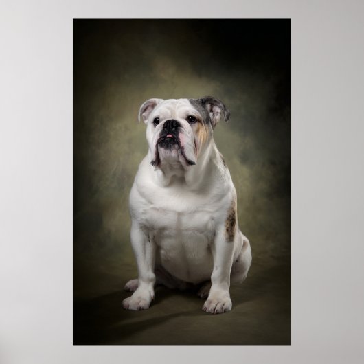 Elegante honden silhouet poster (Voorkant)