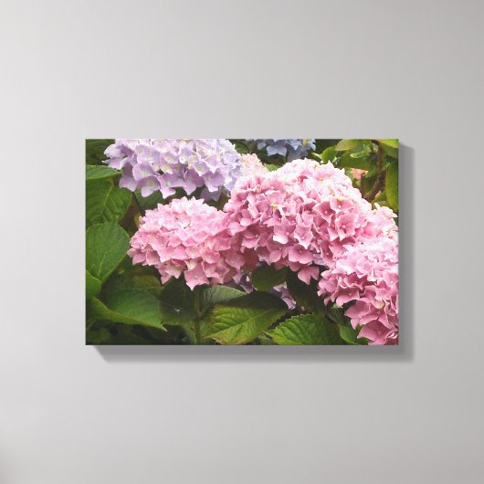 Elegante Hortensia Canvas Afdruk (Voorkant)