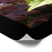 Elegante Hortensia's Poster (Hoek)