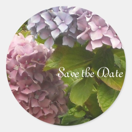 Elegante Hortensia's Ronde Sticker (Voorkant)