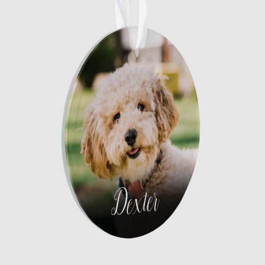 Elegante huisdier foto-herdenking ornament (voorkant)