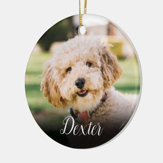 Elegante huisdier foto kat hond gedenkteken  keramisch ornament (Links)