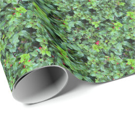 Elegante Hulstbes Kerstcadeau Benodigdheden Cadeaupapier