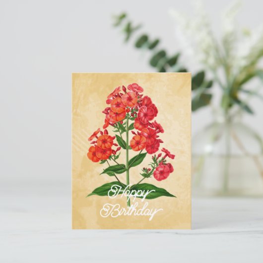 Elegante  Hybride Phlox Flower Happy Birthday Briefkaart (Staand voorkant)