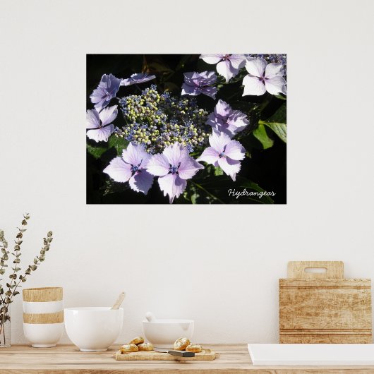 Elegante Hydrangea's Poster (Keuken)