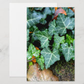 Elegante Ivy veldsteen botanische boho Briefpapier (Voorkant / Achterkant)
