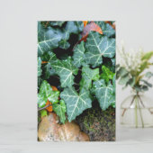 Elegante Ivy veldsteen botanische boho Briefpapier (Staand voorkant)