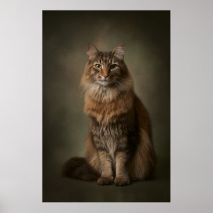 Elegante kat studioportret poster