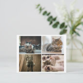 ELEGANTE KATTEN ANSICHTKAART BRIEFKAART (Staand voorkant)