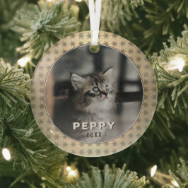 Elegante kattenfoto gouden sneeuwvlokken Kerstmis  Glas Ornament