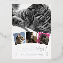 Elegante kattenfotocollage Zilverfolie kerstkaart