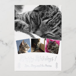 Elegante kattenfotocollage Zilverfolie kerstkaart Folie Feestdagenkaart