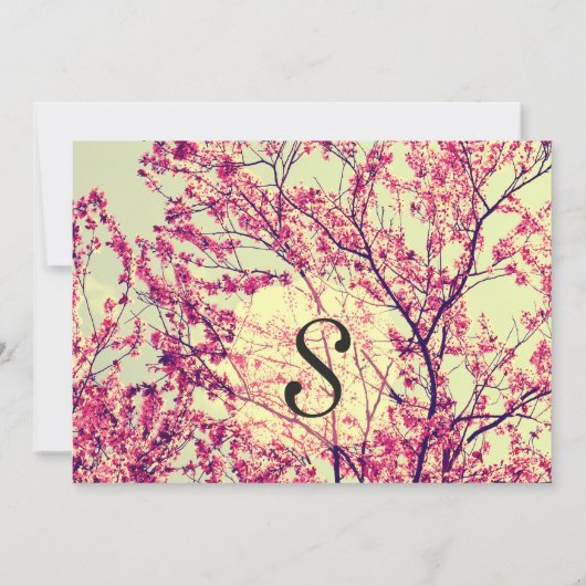 Elegante kersenbloesems op rustiek Blauwgroen Kaart (Achterkant)