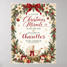 Elegante kerst baby shower bord poster